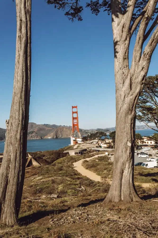 View of the Golden Gate Bridge in between two trees from the Golden Gate Overlook