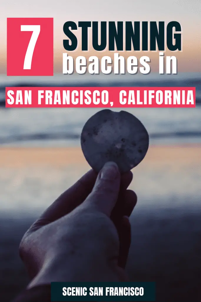 7 Stunning beaches in San Francisco, CA