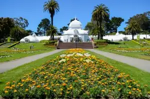 Things to do in Golden Gate Park, San Francisco