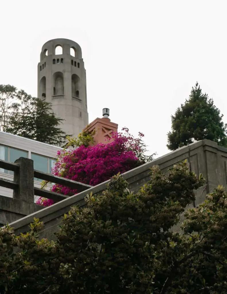 Staircase with bright flowers leading to Coit Tower in San Francisco, CA.