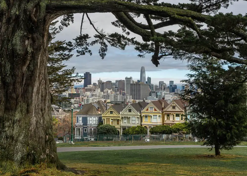 Victorian homes in San Francisco, California
