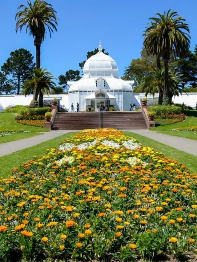 Things to do in Golden Gate Park Story