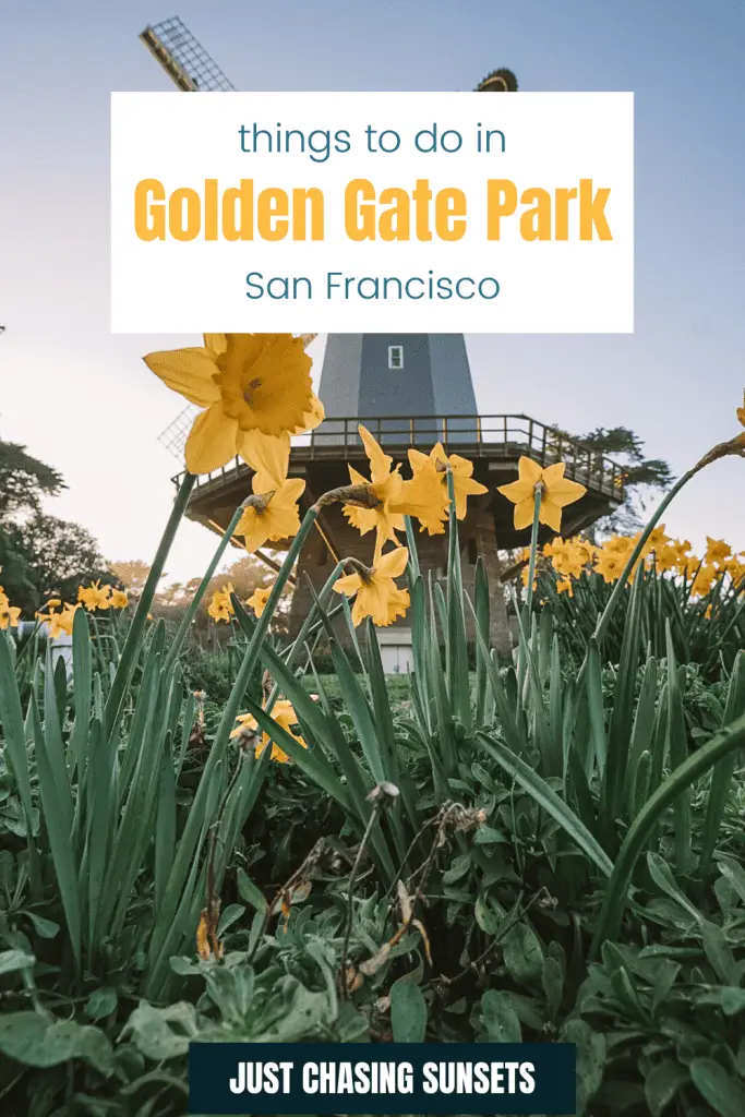 things to do in Golden Gate Park