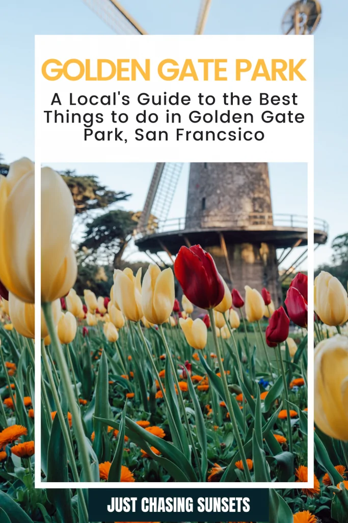 things to do in Golden Gate Park