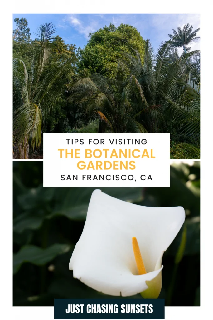 Botanical Garden San Francisco