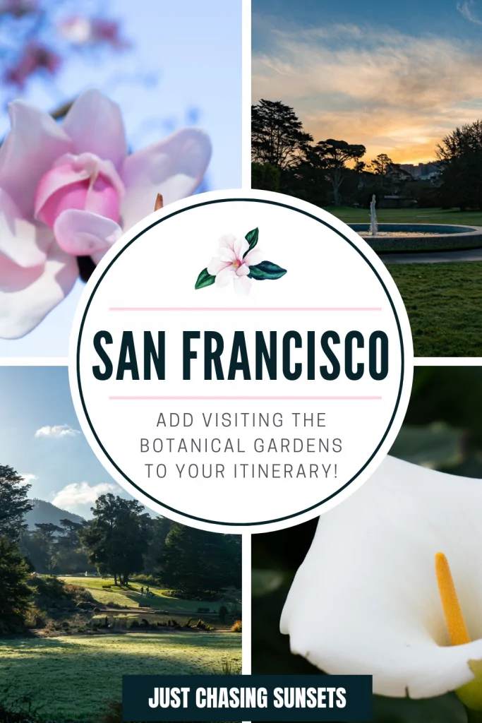 Botanical Garden San Francisco
