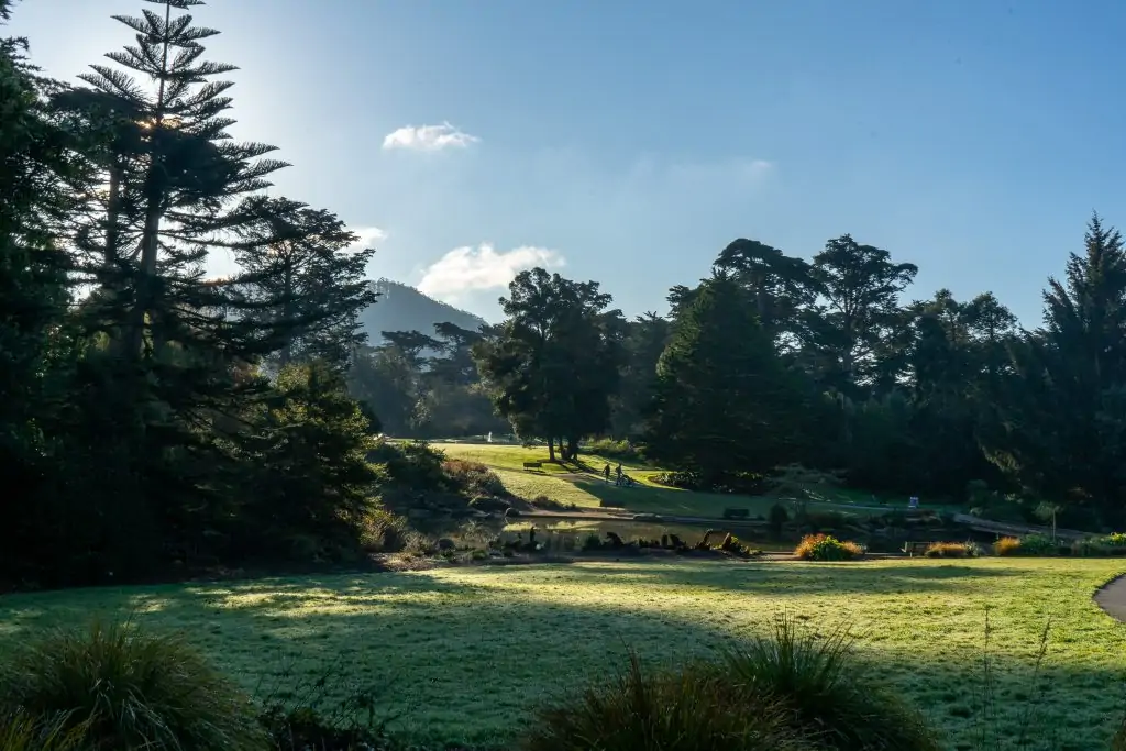 Great Meadow Botanical Gardens Golden Gate Park