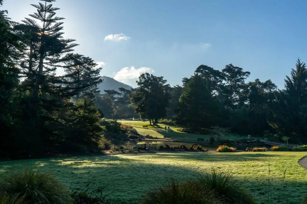 Great Meadow Botanical Gardens Golden Gate Park