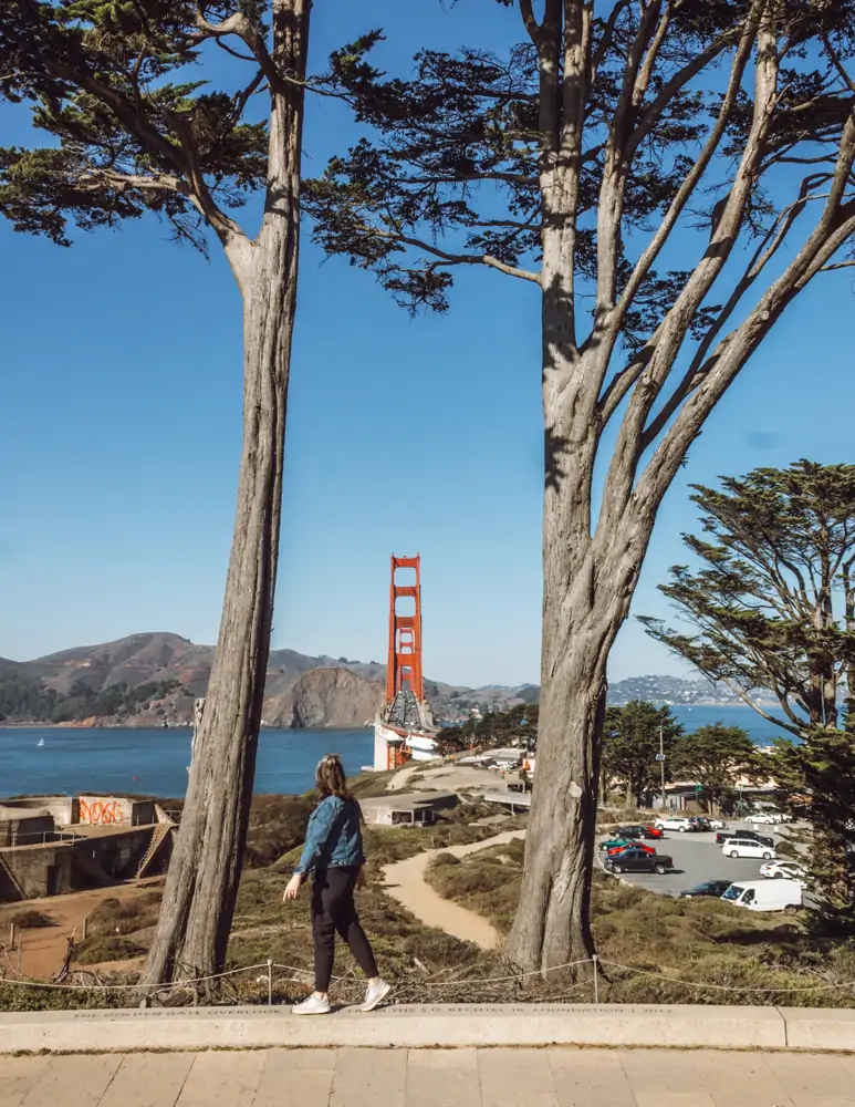 The Golden Gate Bridge in San Francisco seen from the Golden Gate Overlook between two Cypress trees.