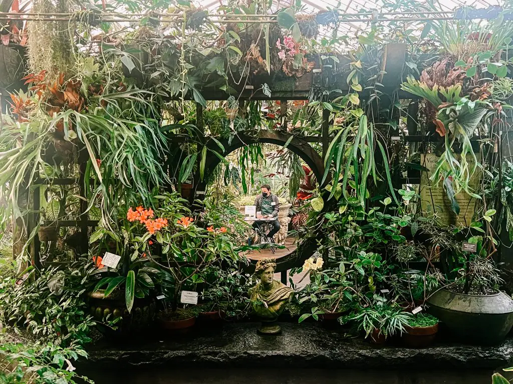 Things to do in Golden Gate Park: Visit the Conservatory of Flowers
