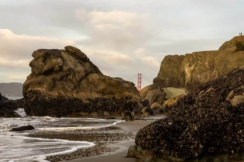 Mile Rock Beach San Francisco