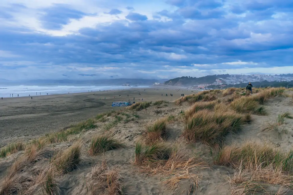 Dunes at Ocean Beach, San Francisco, CA