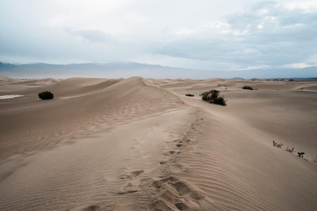 Mesquite Flat Sand Dunes at sunrise in Death Valley.