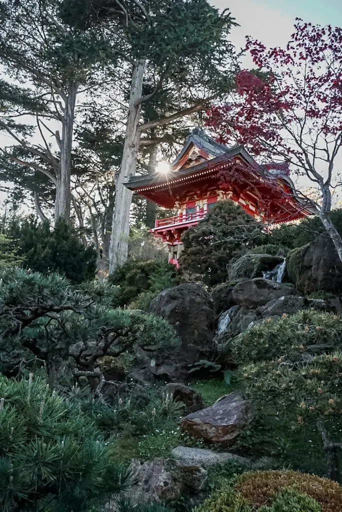 Japanese Tea Garden, San Francisco