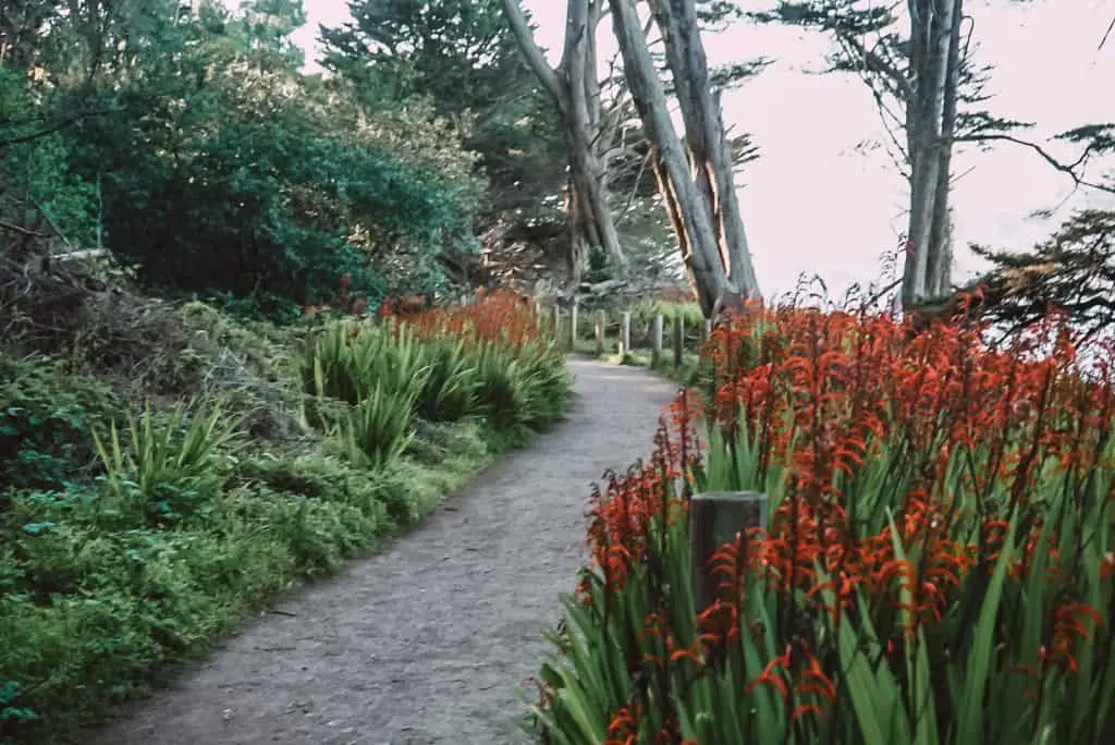 Lands End Trail San Francisco