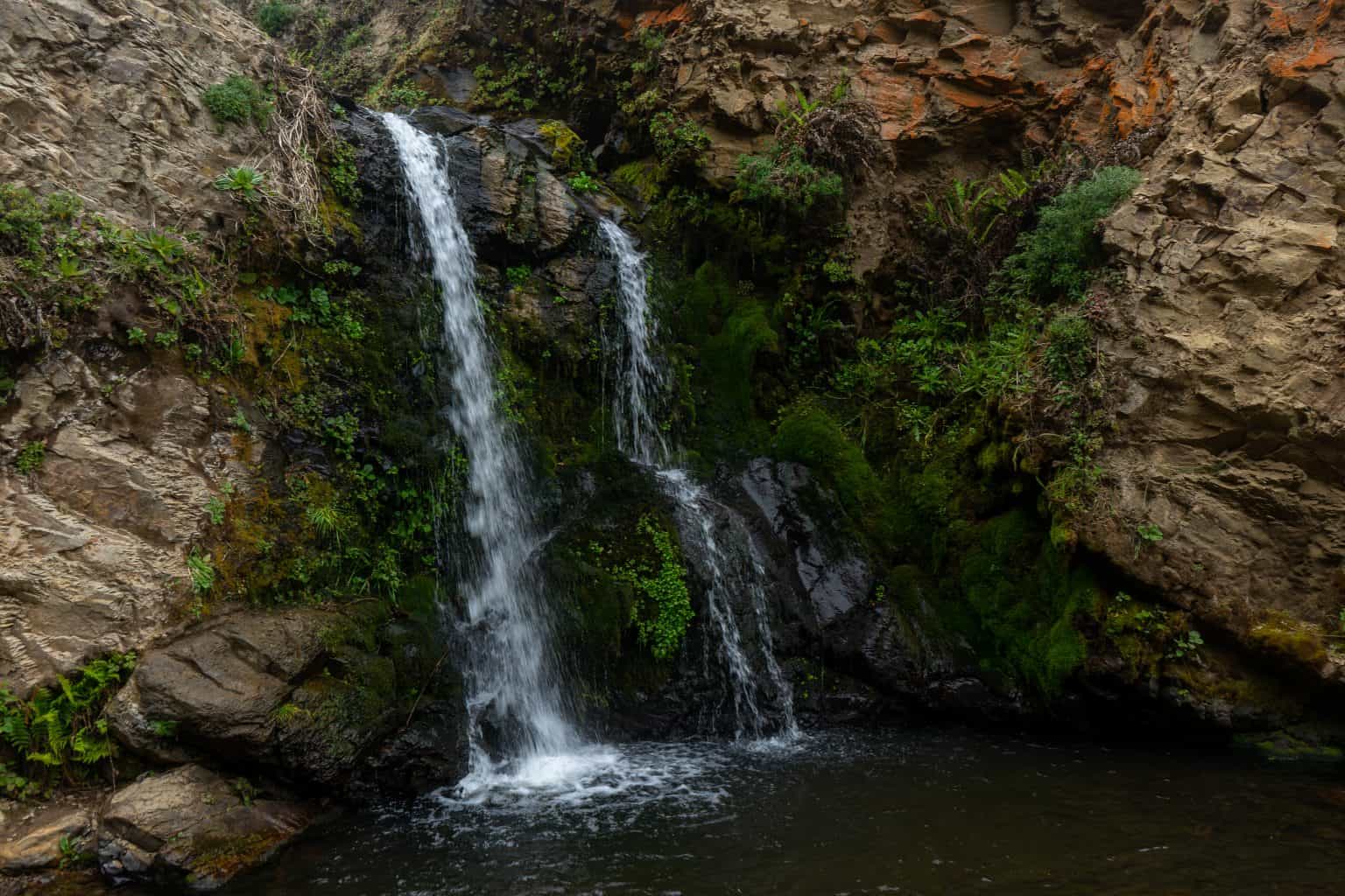 Palomarin Trailhead to Alamere Falls One of the Best Hikes in Point