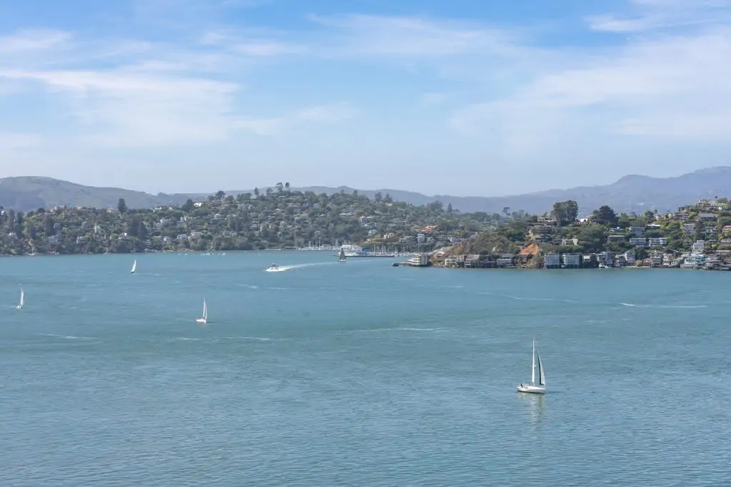 view of Tiburon from Angel Island