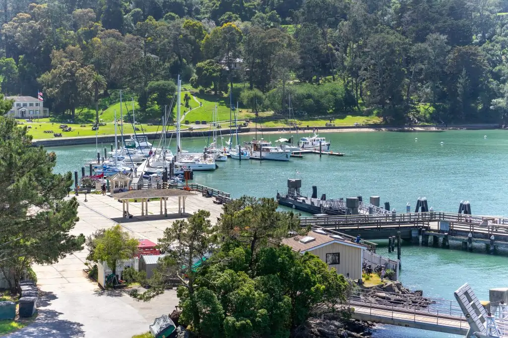 Ayala Cove Angel Island ferry terminal from above