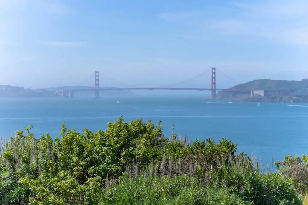 view of the Golden Gate Bridge from Camp Reynolds on Angel Island.