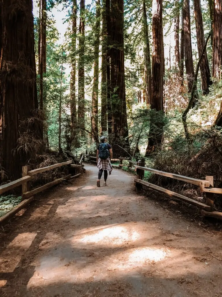 Woman walking on a trail in Redwood Grove