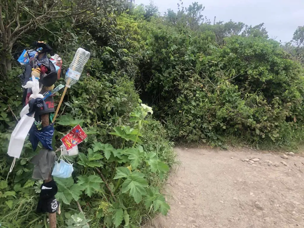 shortcut sign to Alamere Falls.