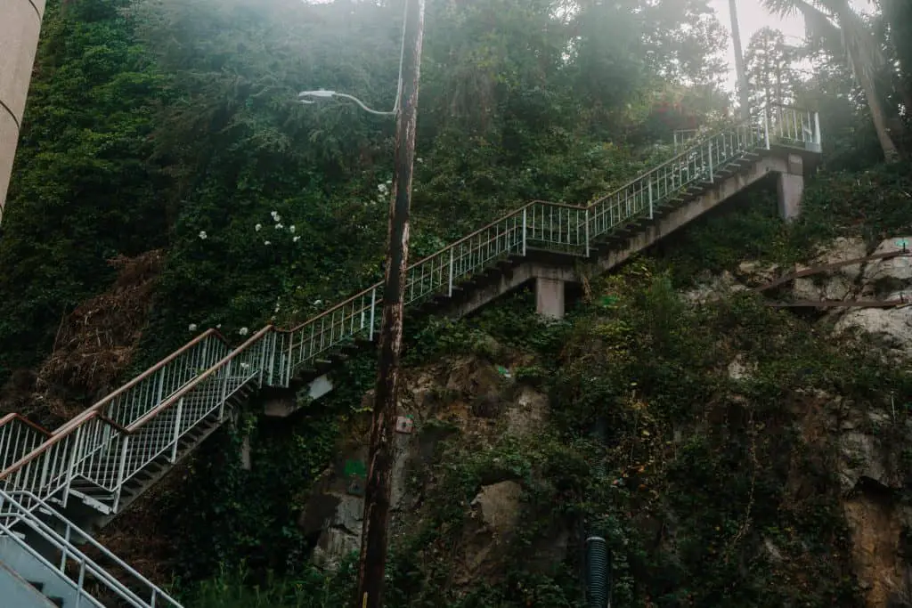 Filbert Street steps - steep staircase on side of Telegraph Hill in San Francsico