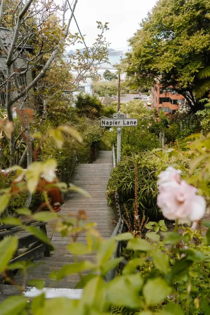 Napier Lane on Filbert Street steps covered in greenery and flowers in San Francisco, CA.