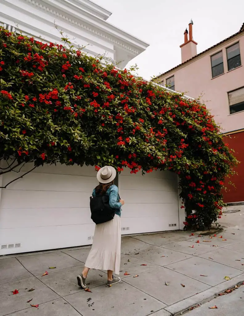 Me wearing a white dress, jean jacket, and backpack walking Telegraph Hill in San Francisco.