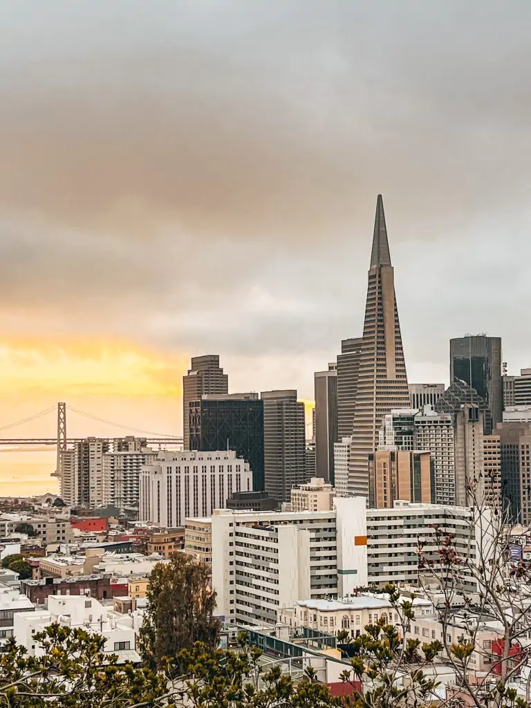 view of the Transamerica building from Ina Coolbrith Park in Russian Hill San Francisco
