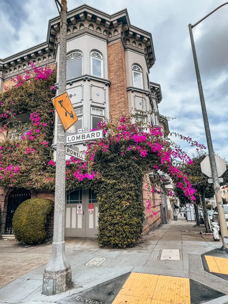 House in bloom on the corner of Lombard St. and Powell in North Beach San Francisco