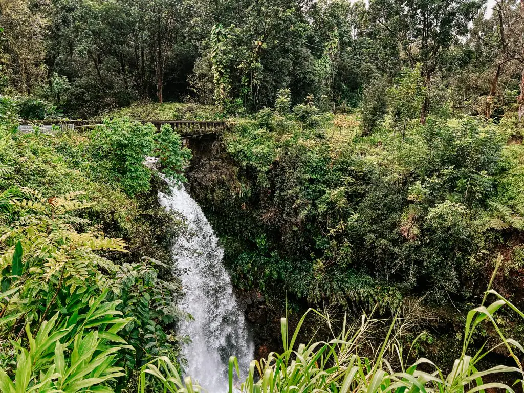 Waterfall on the road to Hana.