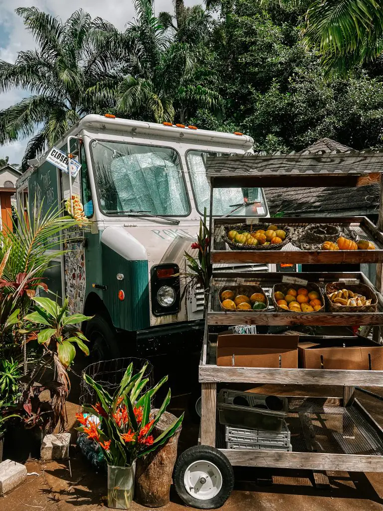 Food truck on the road to Hana in Maui.