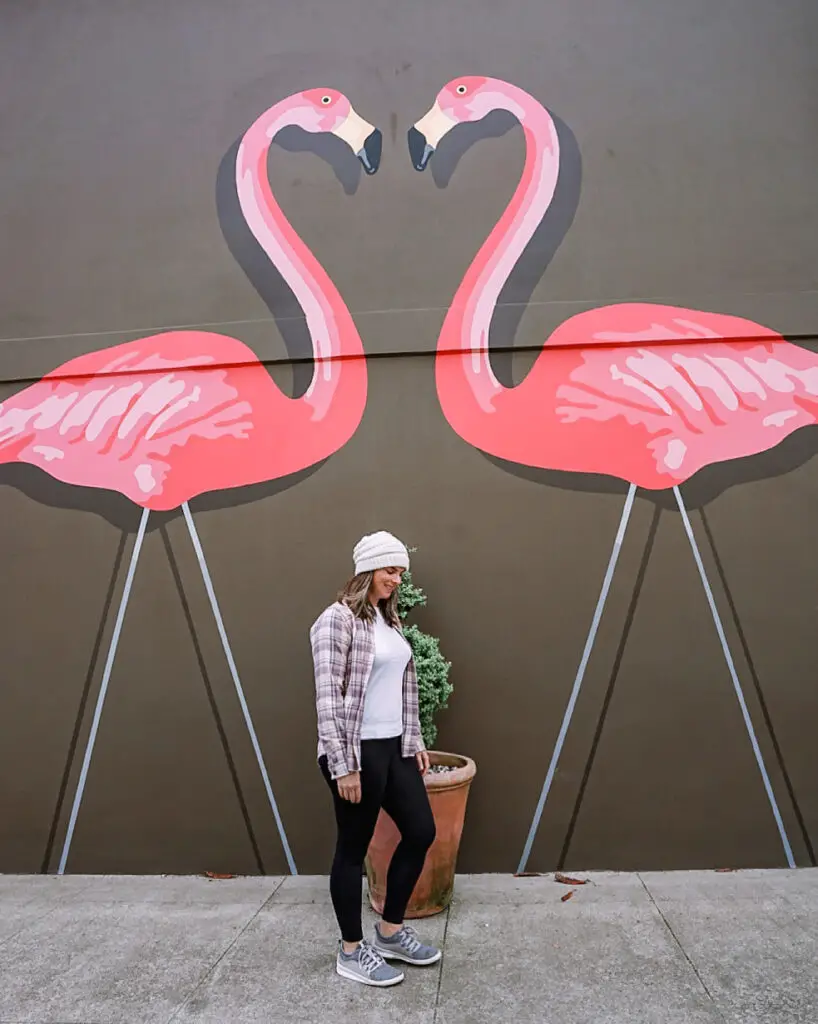 Flamingo house in the Richmond neighborhood of San Francisco, CA.
