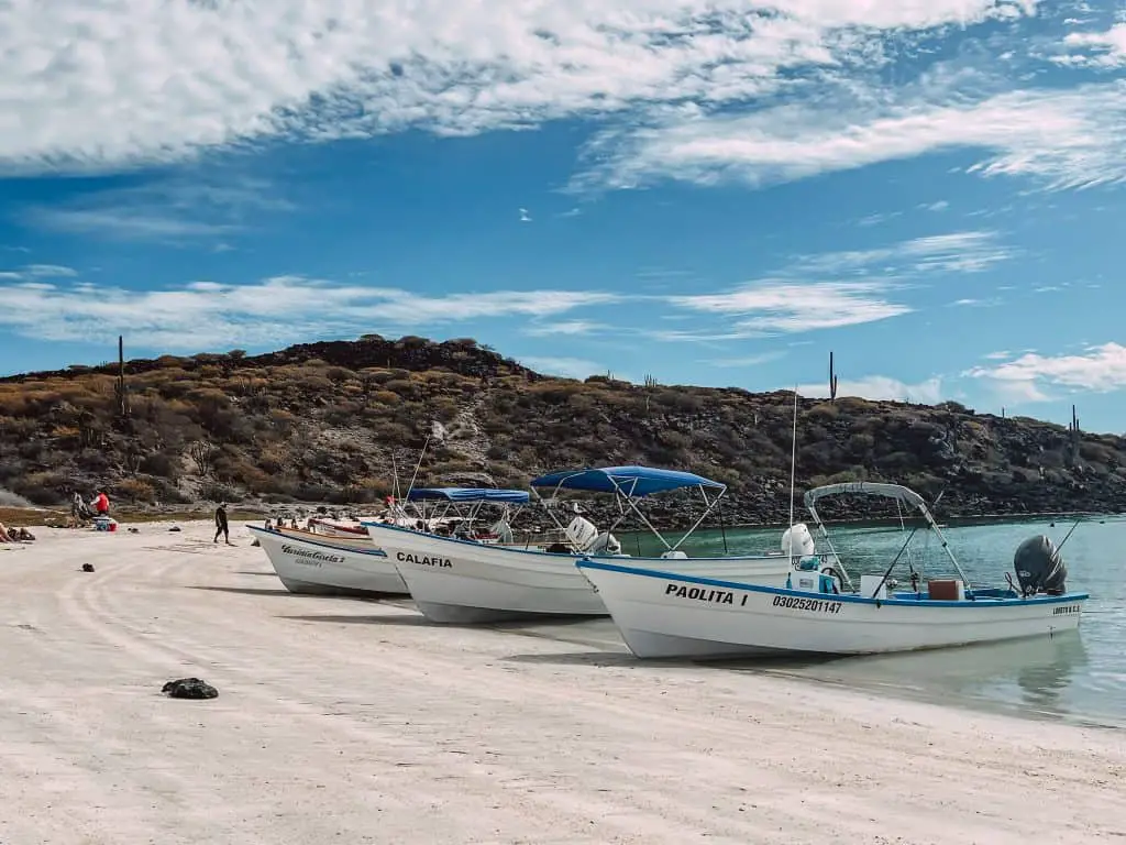 Boats lined up on the beach of Isla Coronado in Loreto Mexico