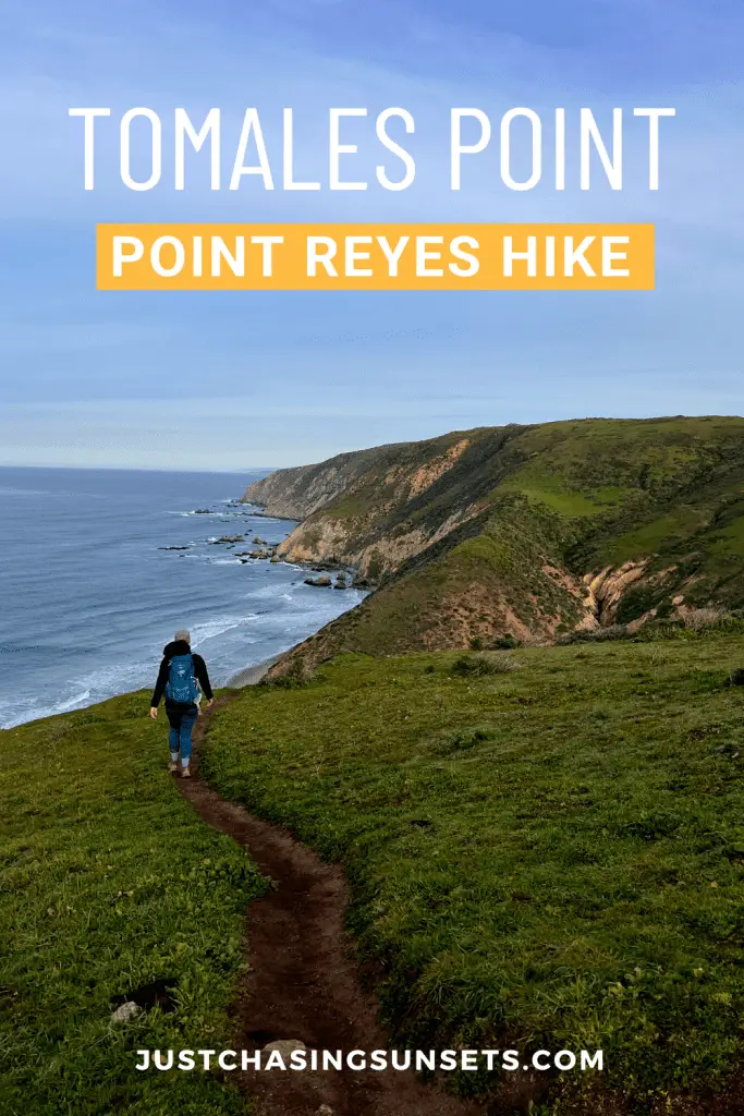 Tomales Point Trail Point Reyes National Seashore California