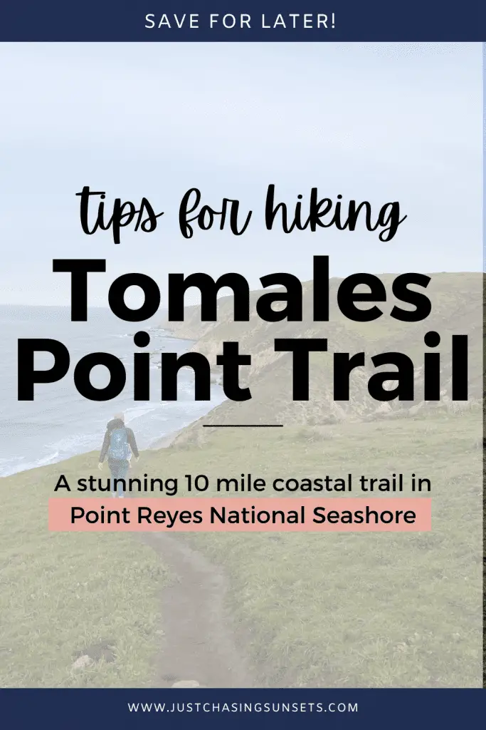 tips for hiking Tomales Point Trail in Point Reyes National Seashore