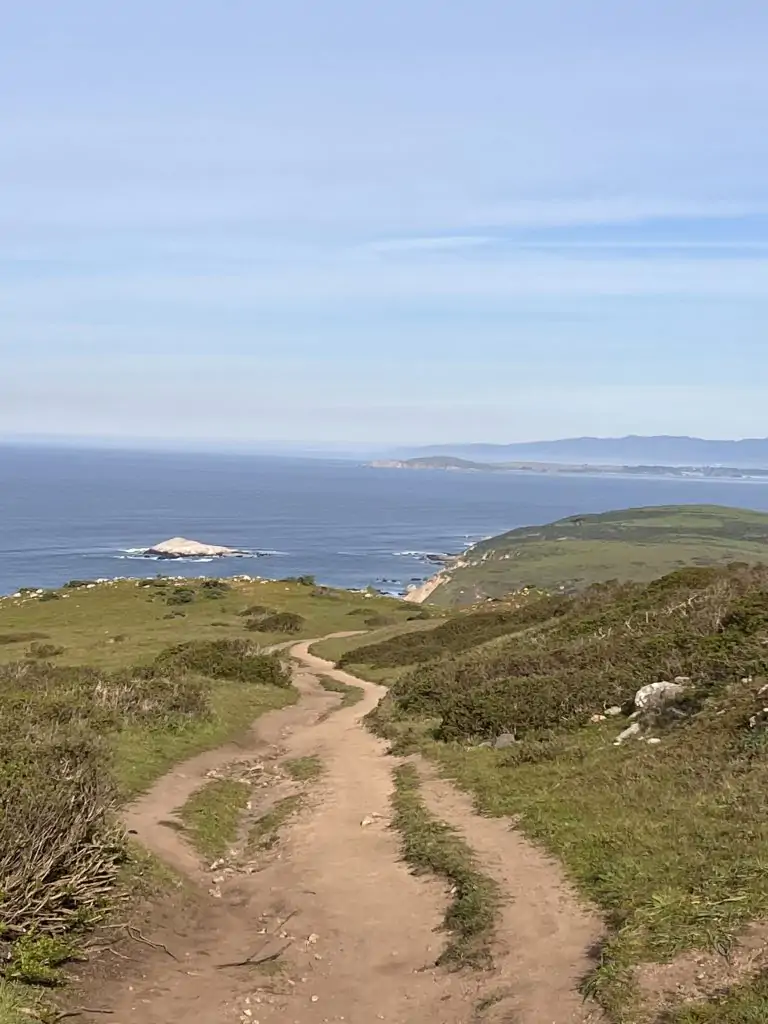 Trail leading to Tomales Point in Point Reyes National Seashore, California.