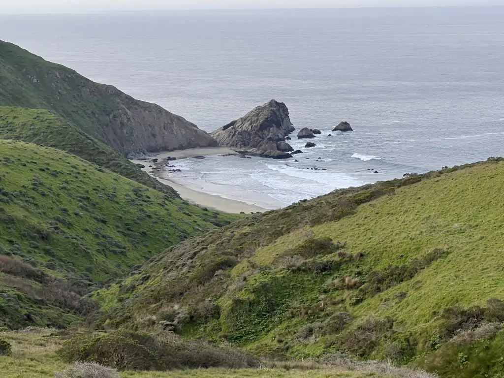 View of a secluded beach nestled between rolling green hills on the Tomales Point hike in Point Reyes National Seashore.