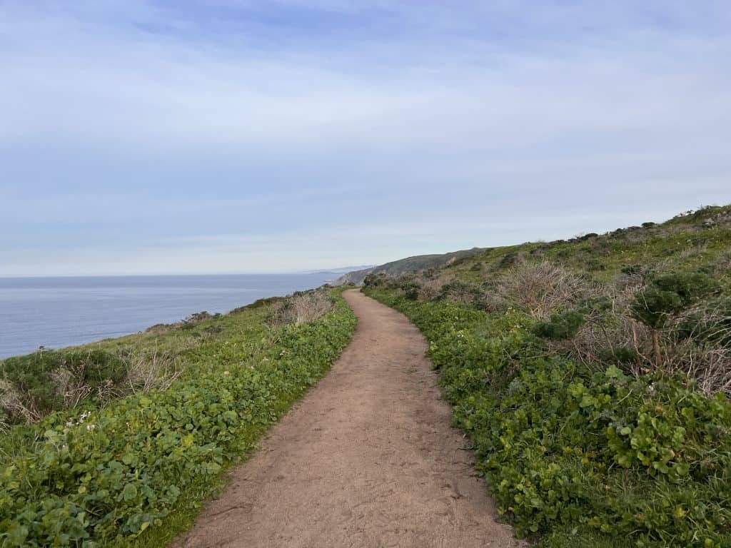 Coastal trail leading to Tomales Point in Point Reyes National Seashore, California.