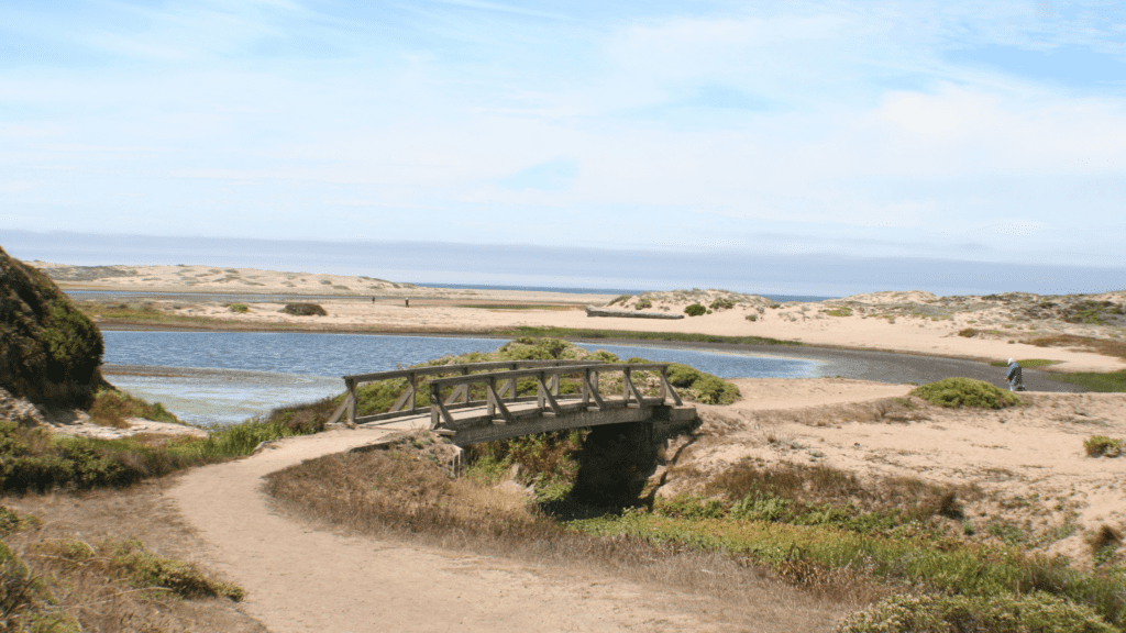 Bridge leading across Abbotts Lagoon in Point Reyes.