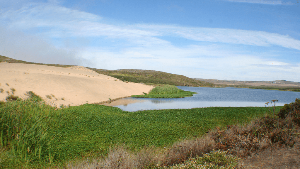 Abbotts Lagoon in Point Reyes National Seashore.