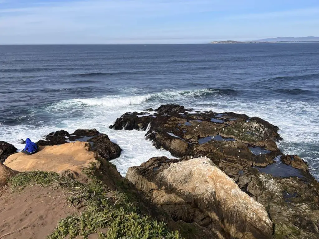 Rocky shore of Tomales Point in Point Reyes National Seashore.