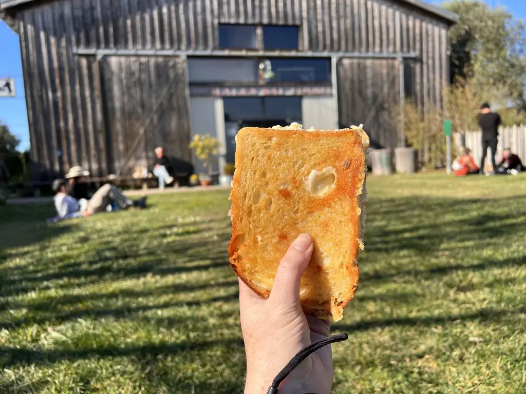 Grilled cheese from Cowgirl Creamery in Point Reyes Station, California