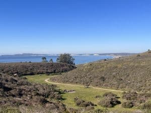 Best Hikes in Point Reyes