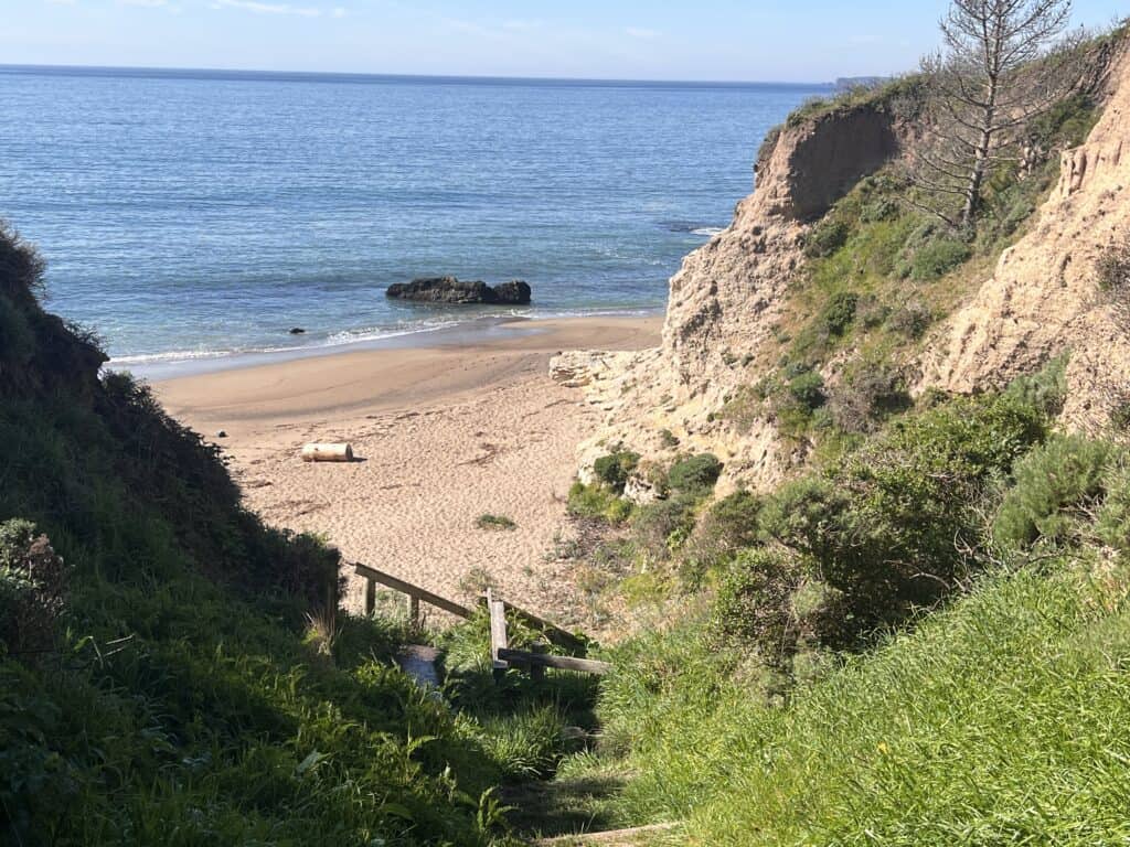 Staircase leading to Secluded Beach in Point Reyes.