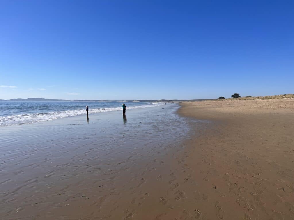 People standing on the wide sandy Limantour beach in Point Reyes National Seashore.