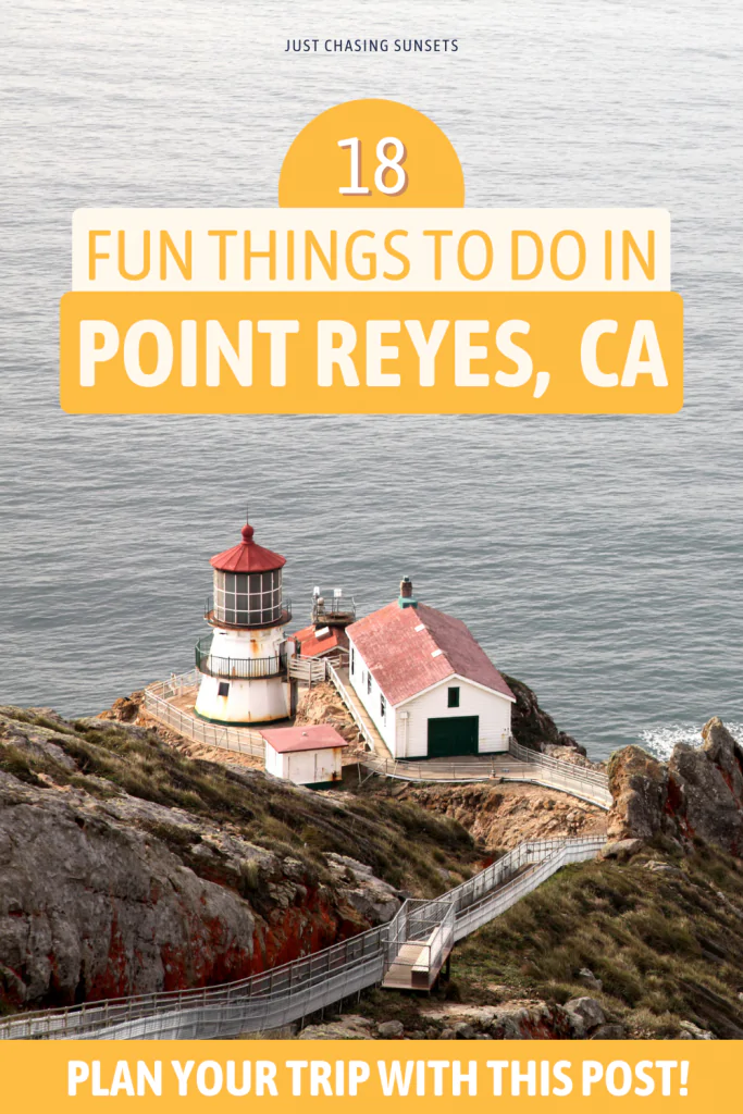 Things to do in Point Reyes