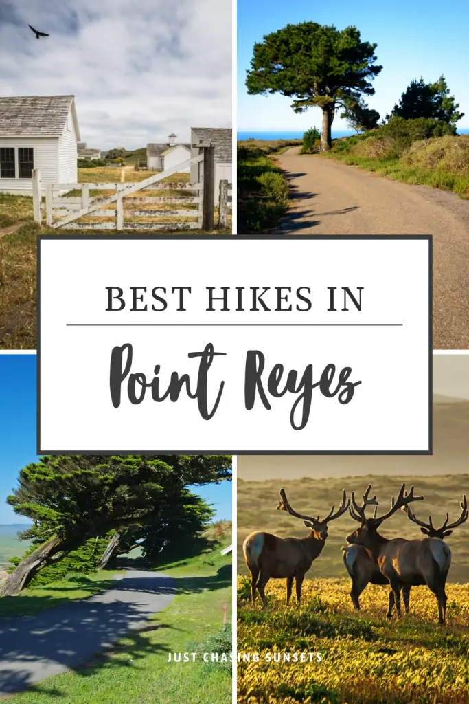 Best hikes in Point Reyes National Seashore.