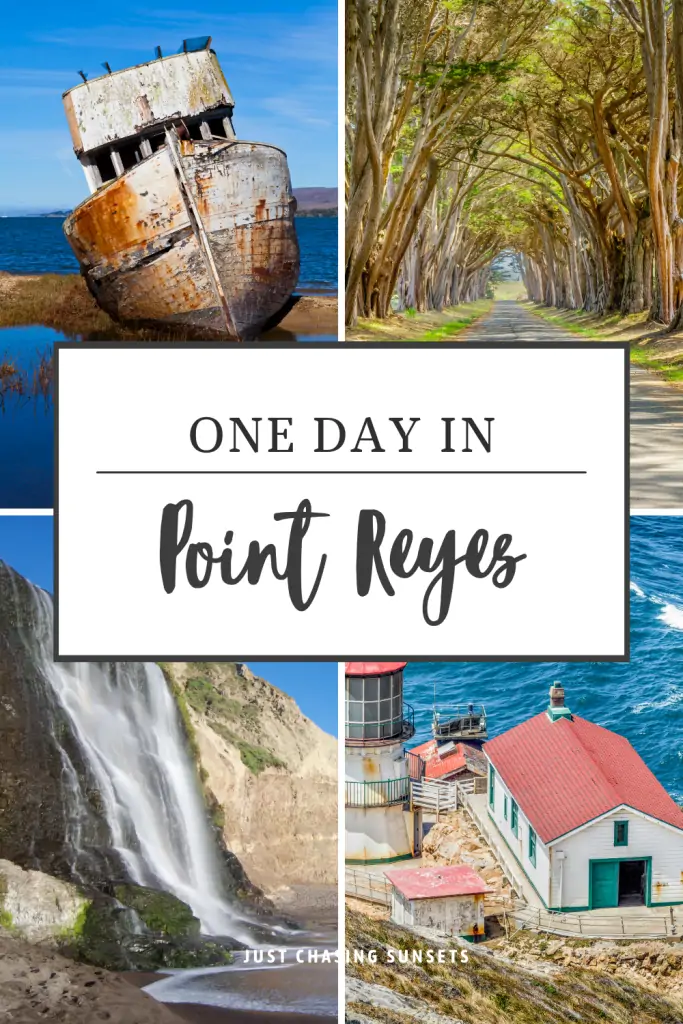 How to spend one day in Point Reyes National Seashore.