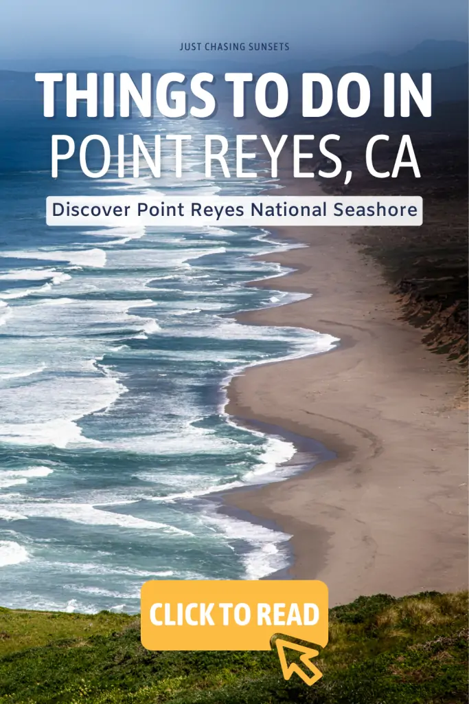 The best things to do in Point Reyes.